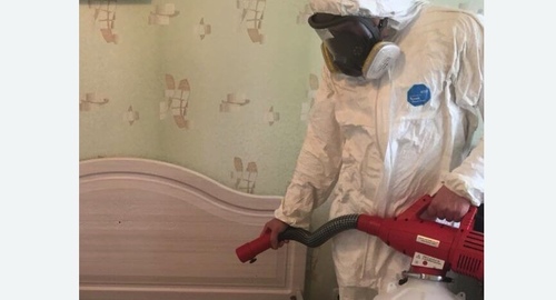 Уничтожение клещей в квартире. Кировский завод