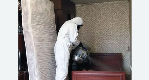 Дезинфекция от клопов Кировский завод метро Спб
