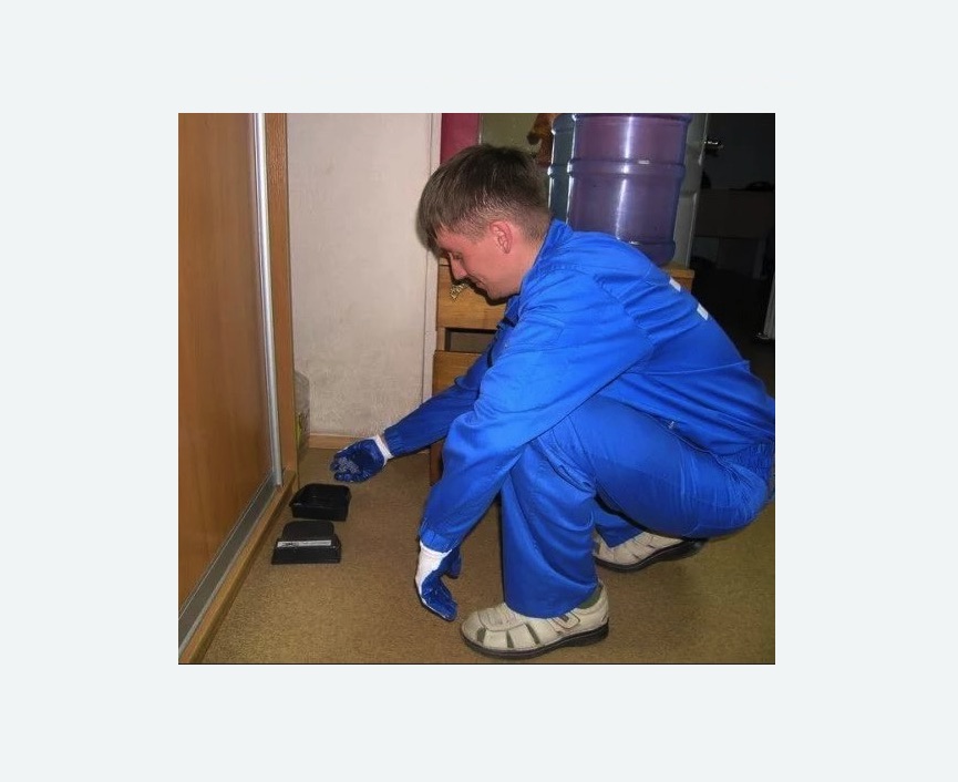 Дератизация крыс Дератизация крыс Кировский завод метро Спб