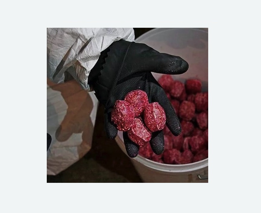 Обработка от крыс Обработка от крыс Кировский завод метро Спб